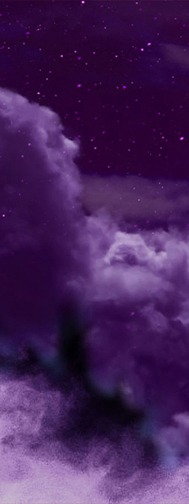 banner image